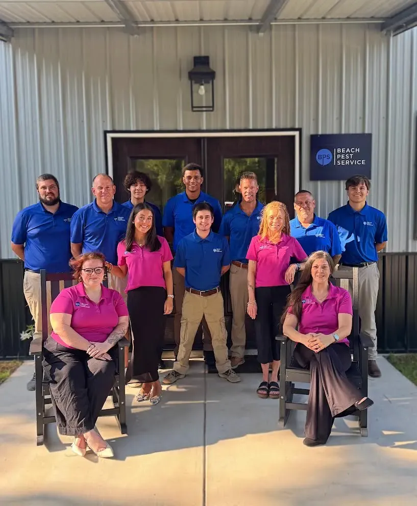 beach pest team