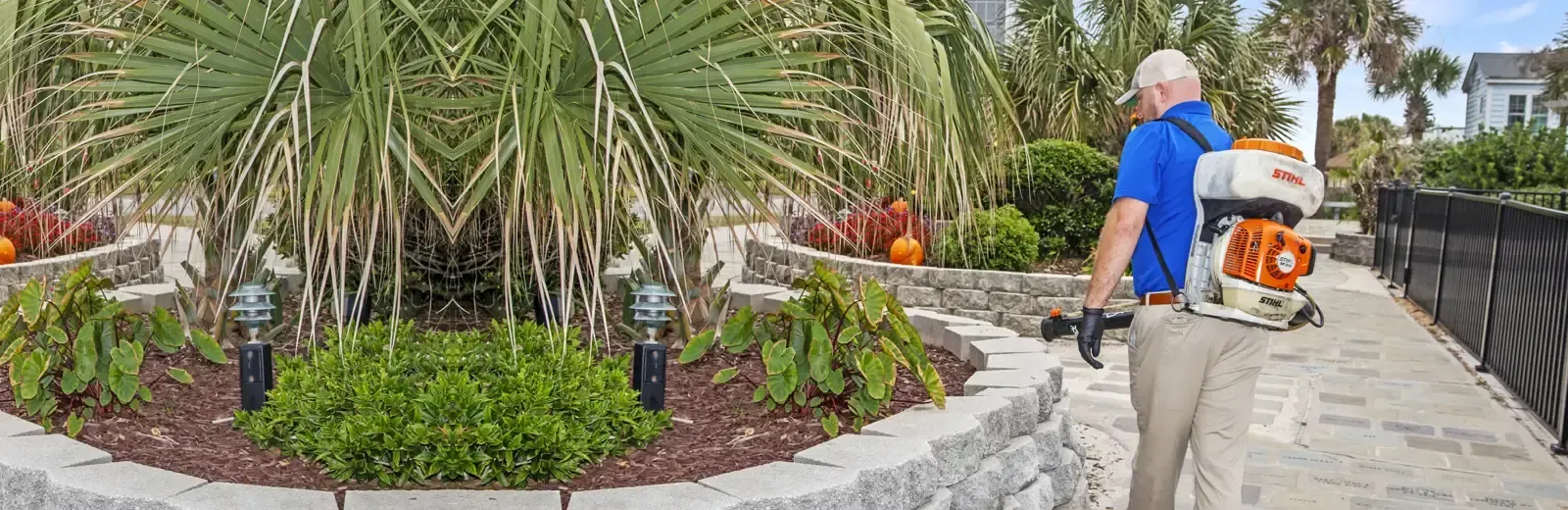 Commercial Pest Control in Grand Strand Beach Pest Service